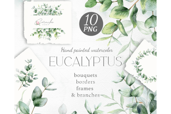 Download Eucalyptus Watercolor Clipart - Eucalyptus watercolor Collection
