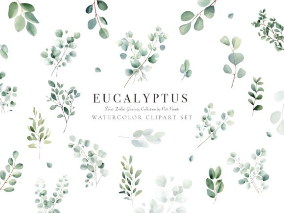 Download Eucalyptus Watercolor Clipart Set - Eucalyptus watercolor Collection