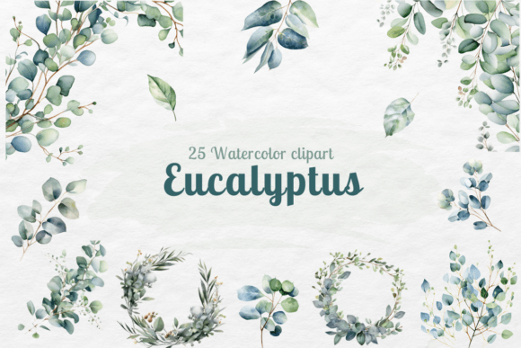 Download Eucalyptus Watercolor - Eucalyptus watercolor Collection
