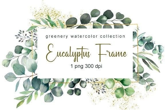 Download Eucalyptus Watercolor Clipart. Png - Eucalyptus watercolor Collection